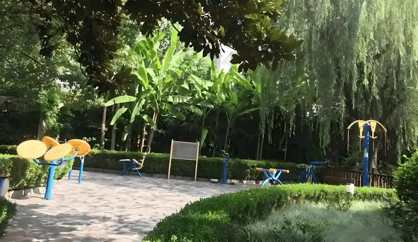 陌陆情人不可欺